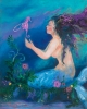 Beneath The Coral Sea